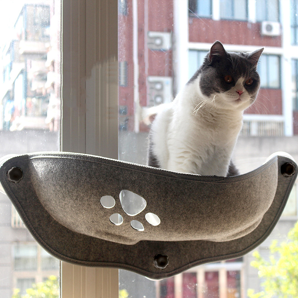 Cat Window Hammock Bed 20kg - Soft Suction Cup Lounger