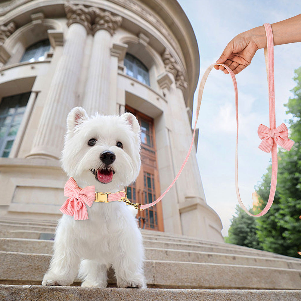 Soft Velvet Dog Collar and Leash Set with Bow – Adjustable for Small and Medium Dogs