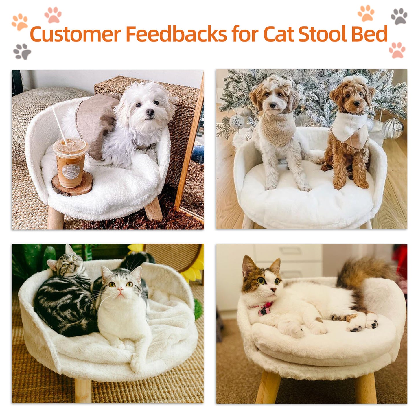 Pet Sofa Bed: Raised Cat Chair & Small Dog Couch