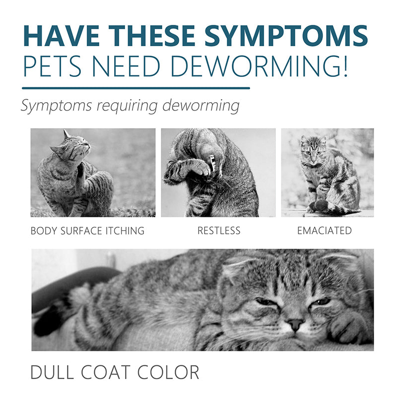 Flea & Tick Control Drops - Pet Itch Relief for Dogs & Cats