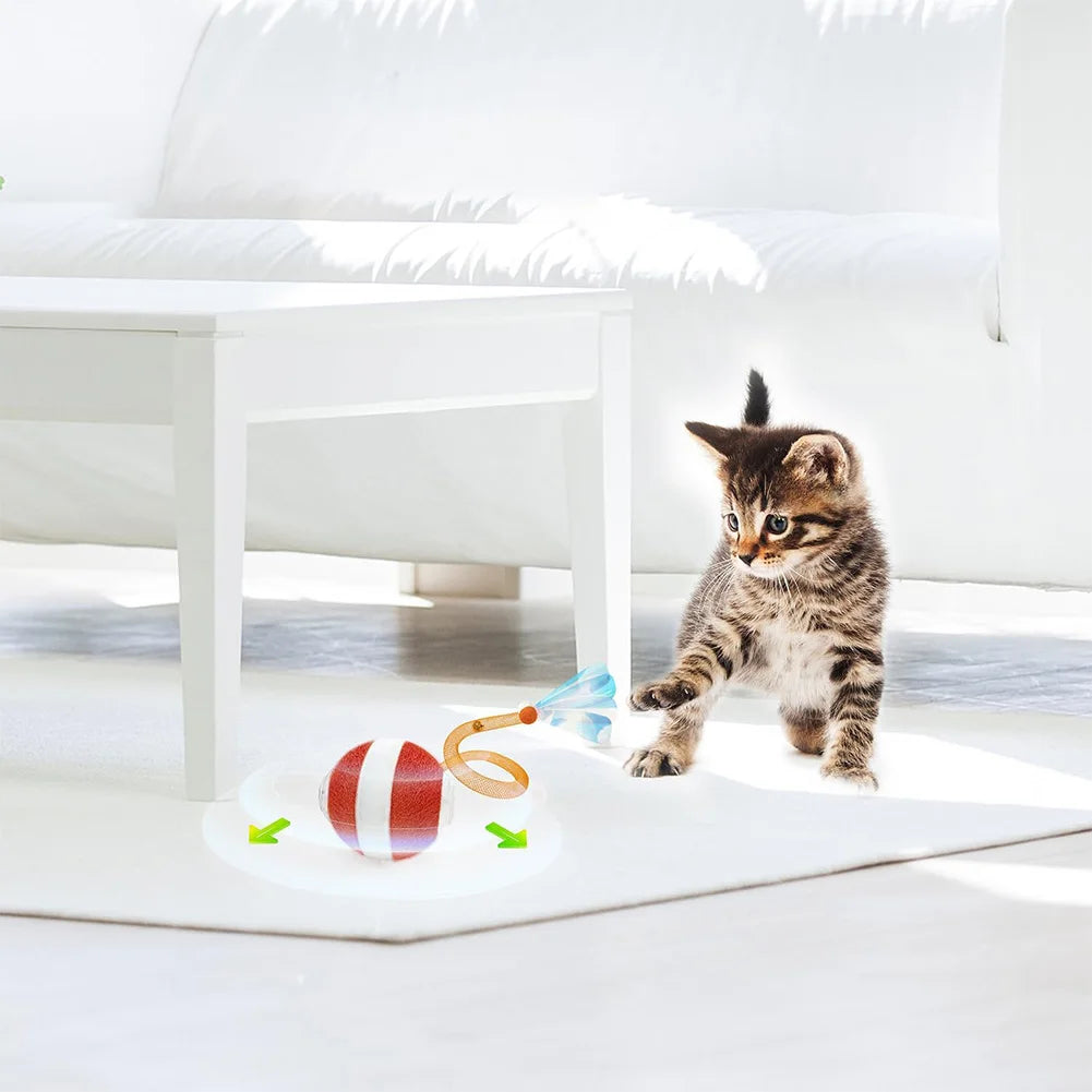 Interactive Cat Toy Ball: Rechargeable & Elastic Tail Fun