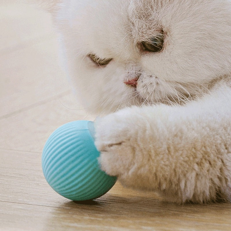 Interactive Cat Ball Toy - Automatic Rolling Smart Pet Fun