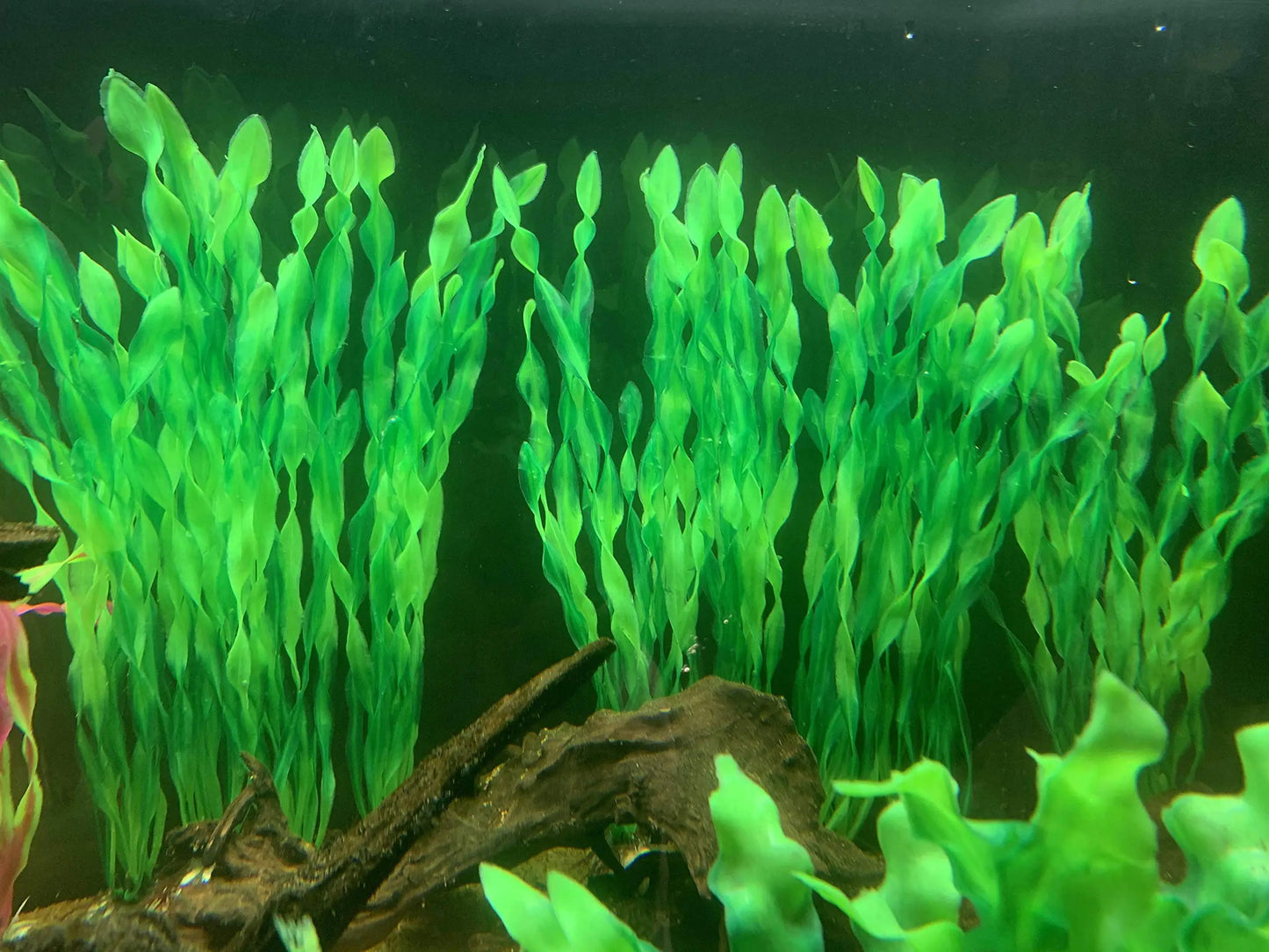 Plastic Aquarium Plants - 5 pcs Artificial Seaweed Decor
