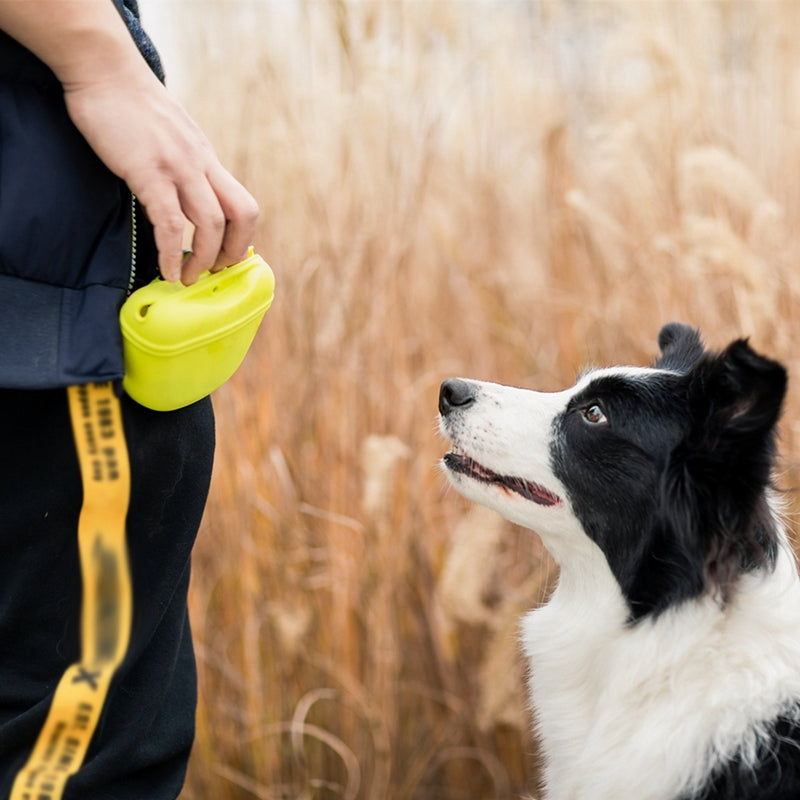 Dog Treat Pouch Silicone Waist Bag - Portable & Easy Clean