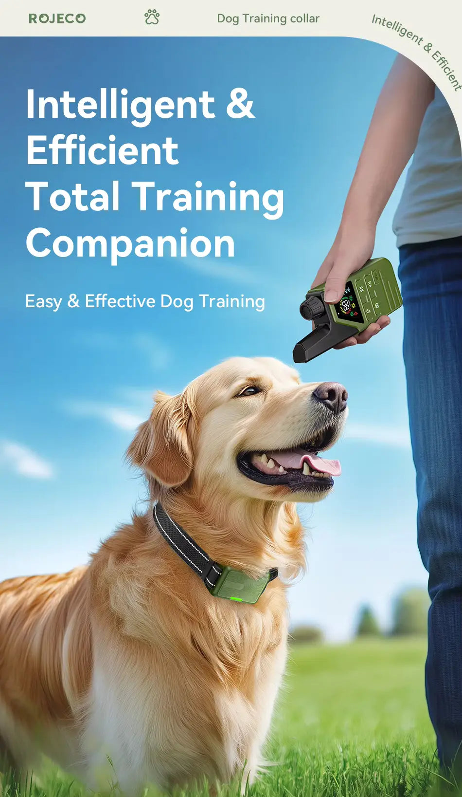 Dog Training Collar – 300M Range, Beep, Vibration, and Static Modes with Remote