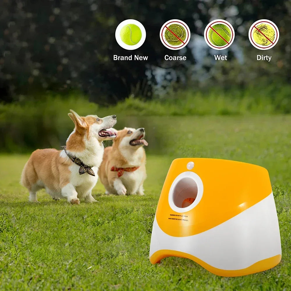 Automatic Dog Ball Launcher - Rechargeable Pet Toy