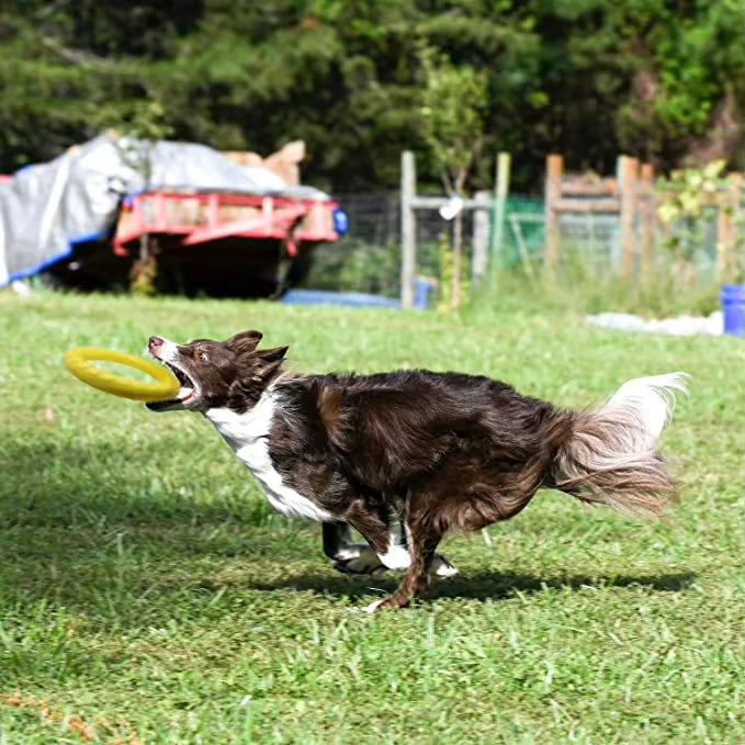 Durable Floating Flying Disc Toy for Large Dogs – Bite-Resistant Rubber Ring, 28cm