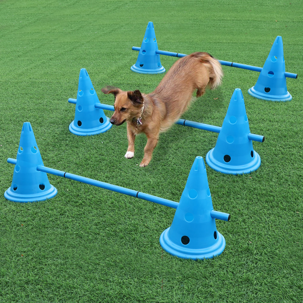 3-Piece Dog Agility Training Pole Set – Portable Outdoor Pet Exercise Equipment