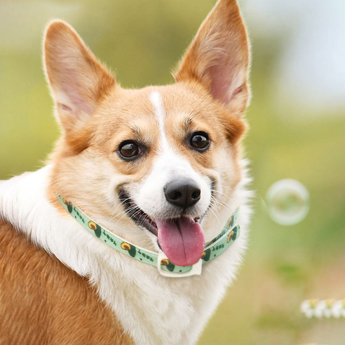 Anti-Parasite Pet Collar Flea Collar - Flea & Mosquito Protection, 3 Sizes
