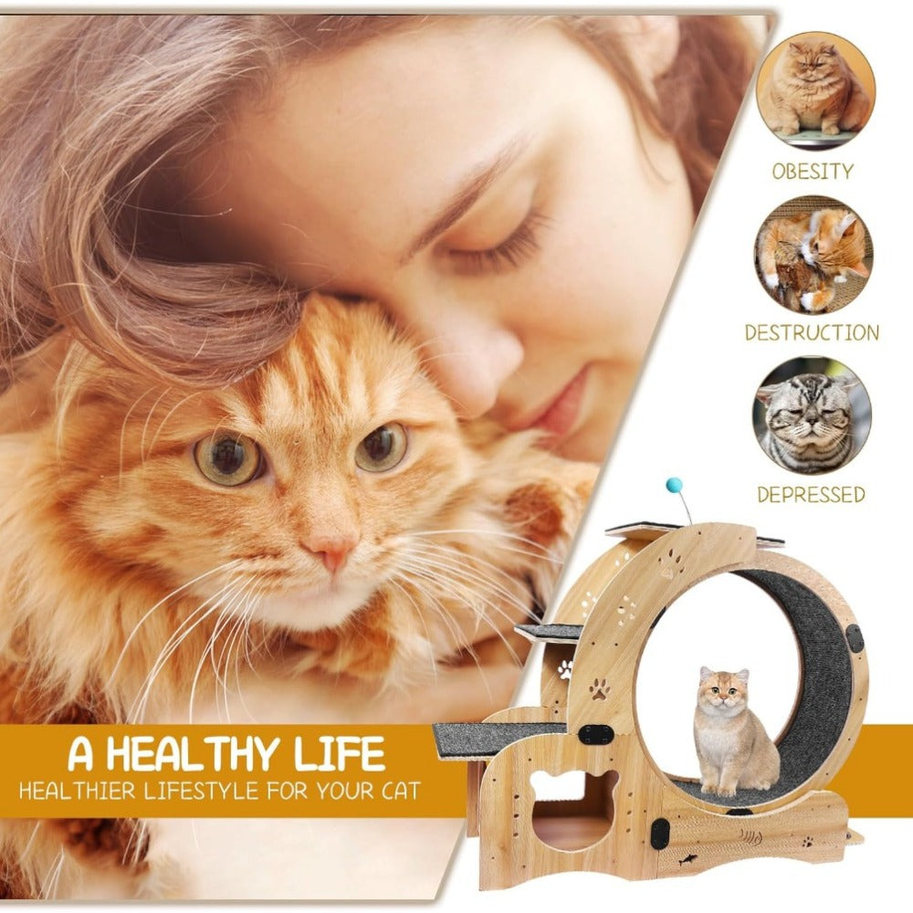 Cat Exercise Wheel - Birch & Poplar, Ultra-Quiet, Anti-Scratch
