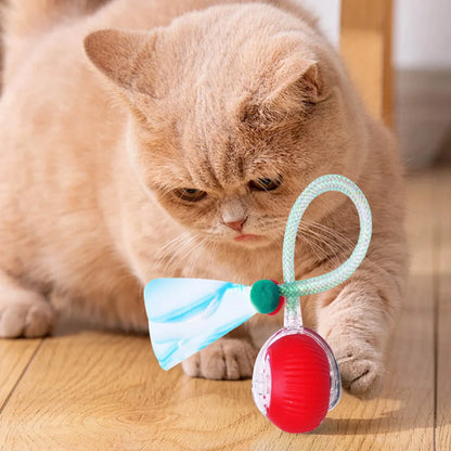 Interactive Cat Toy Ball: Rechargeable & Elastic Tail Fun