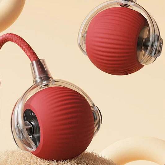 Interactive Cat Ball: Auto Electric Teaser, USB Rechargeable