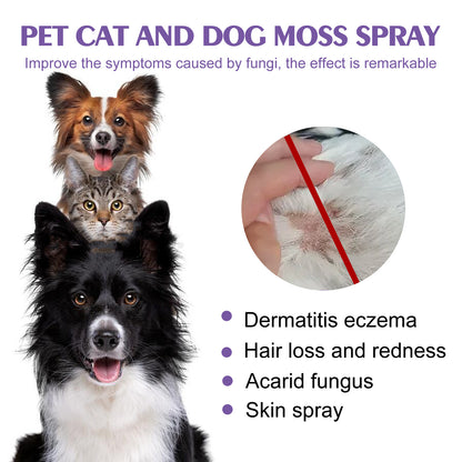 Pet Flea & Lice Spray - Fast Relief for Dogs & Cats, 60ml