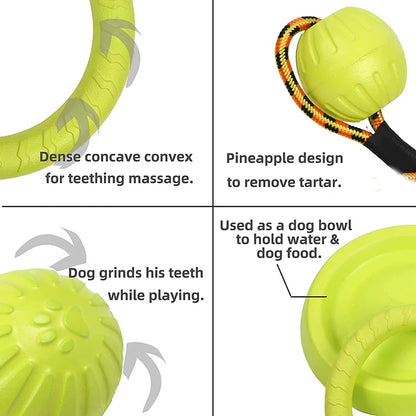 Pet Flying Discs: Bite-Resistant Dog Training Toys