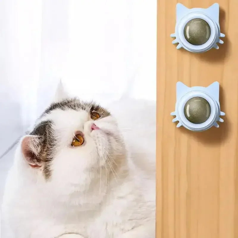 Catnip Balls for Cats - Lickable Snack & Teeth Cleaning Toy