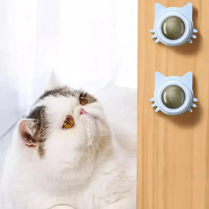 Catnip Balls for Cats - Lickable Snack & Teeth Cleaning Toy