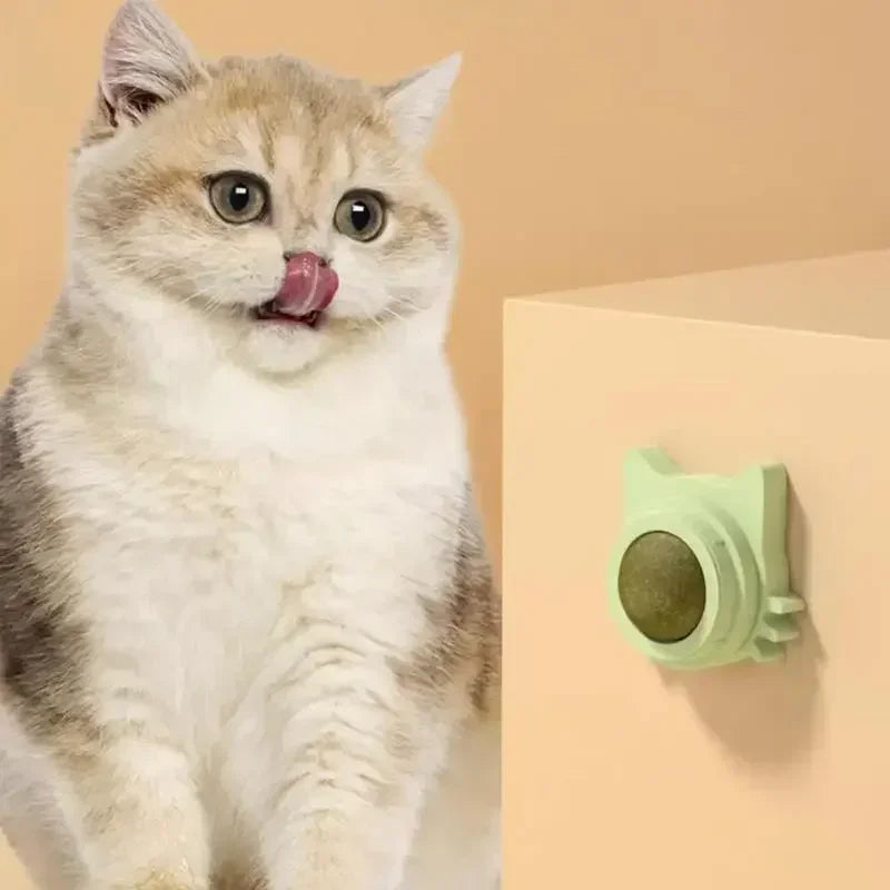 Catnip Balls for Cats - Lickable Snack & Teeth Cleaning Toy