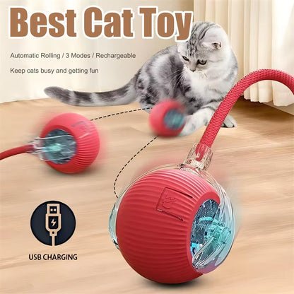 Smart Cat Toy Ball: Motion-Activated, Fast Rolling Fun