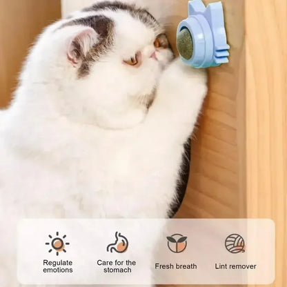 Catnip Balls for Cats - Lickable Snack & Teeth Cleaning Toy