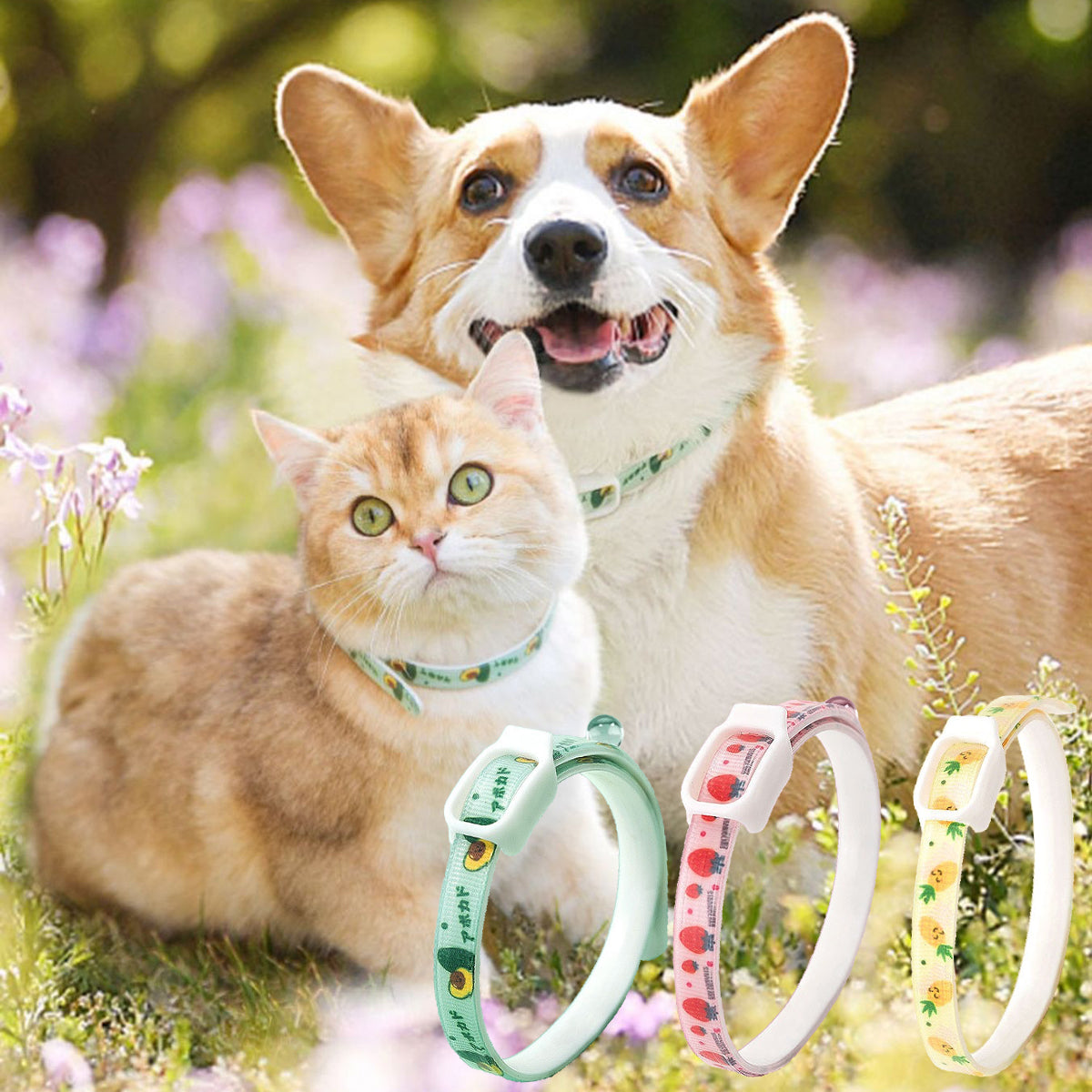 Anti-Parasite Pet Collar Flea Collar - Flea & Mosquito Protection, 3 Sizes