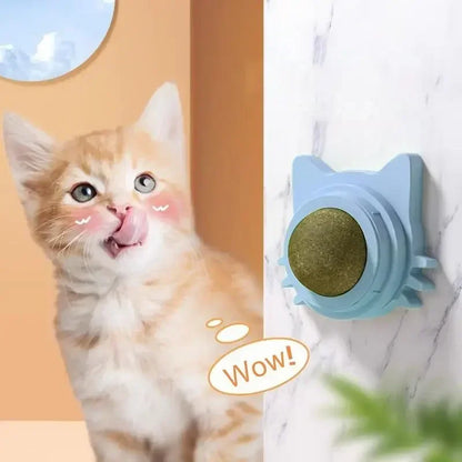 Catnip Balls for Cats - Lickable Snack & Teeth Cleaning Toy