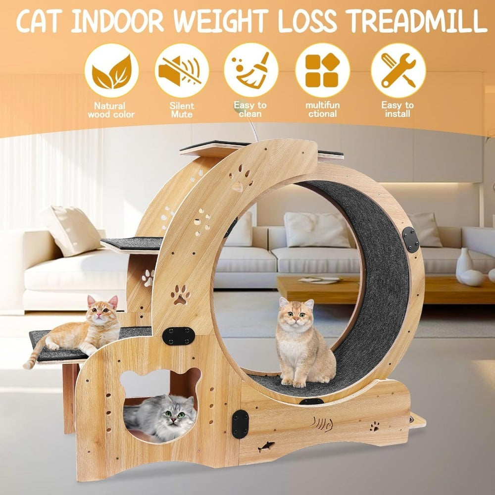 Cat Exercise Wheel - Birch & Poplar, Ultra-Quiet, Anti-Scratch