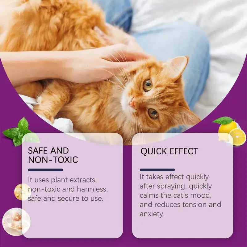 Cat Calming Spray 100ml - Natural Stress Relief & Scratch Prevention
