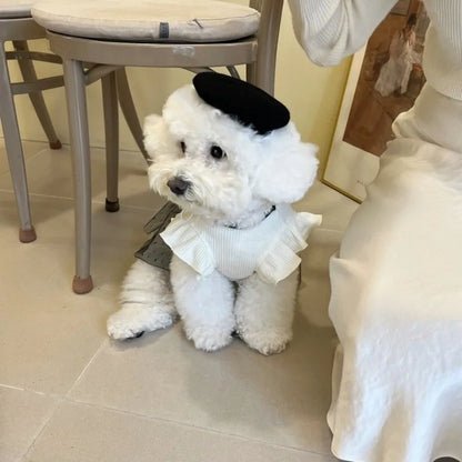 Dog Cat Pet Clothes Summer T-Shirt Skirt for Small Dogs & Cats