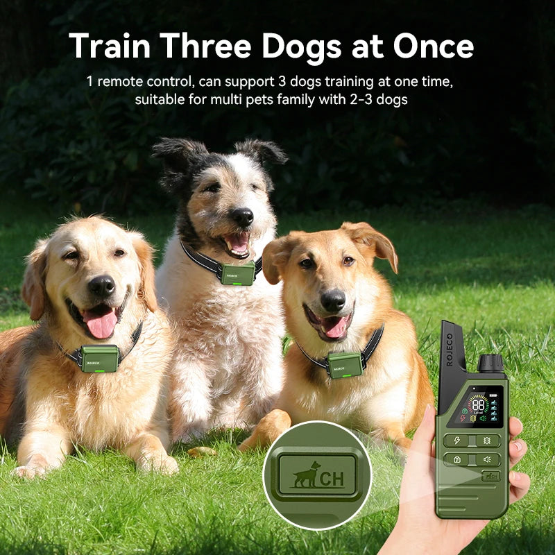 Electric Dog Training Collar - Waterproof & Rechargeable