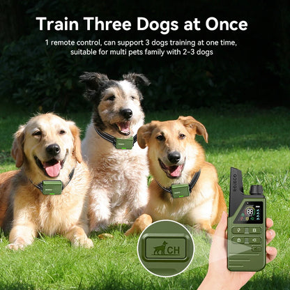 Electric Dog Training Collar - Waterproof & Rechargeable
