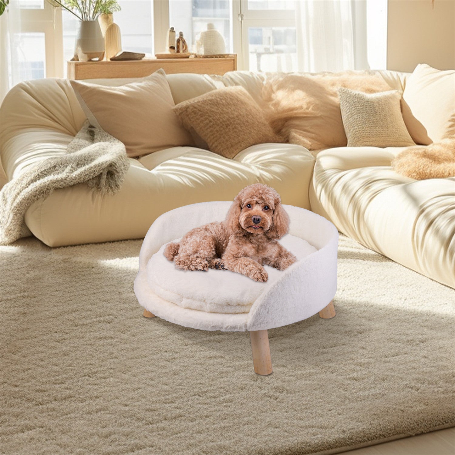 Pet Sofa Bed: Raised Cat Chair & Small Dog Couch