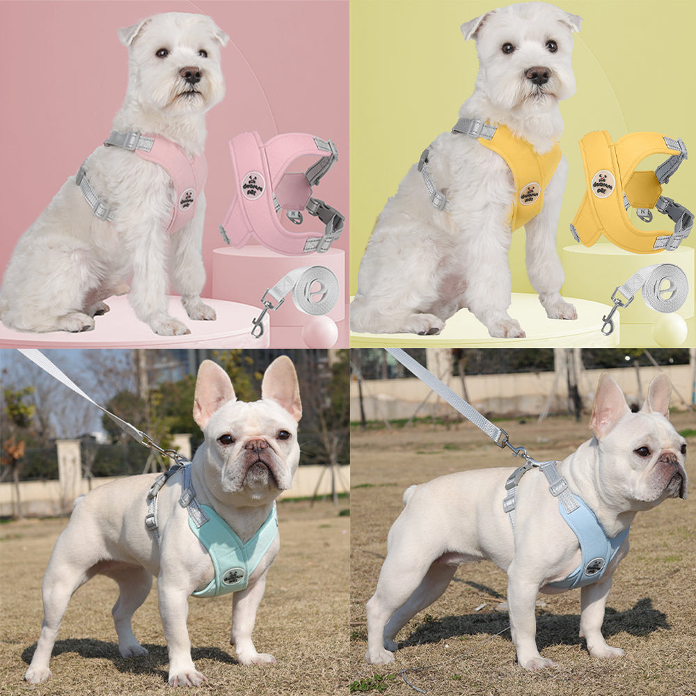 Dog Harness Leash Set - Reflective & Breathable for Small Dogs