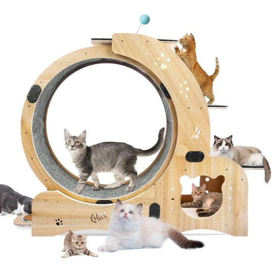 Cat Exercise Wheel - Birch & Poplar, Ultra-Quiet, Anti-Scratch