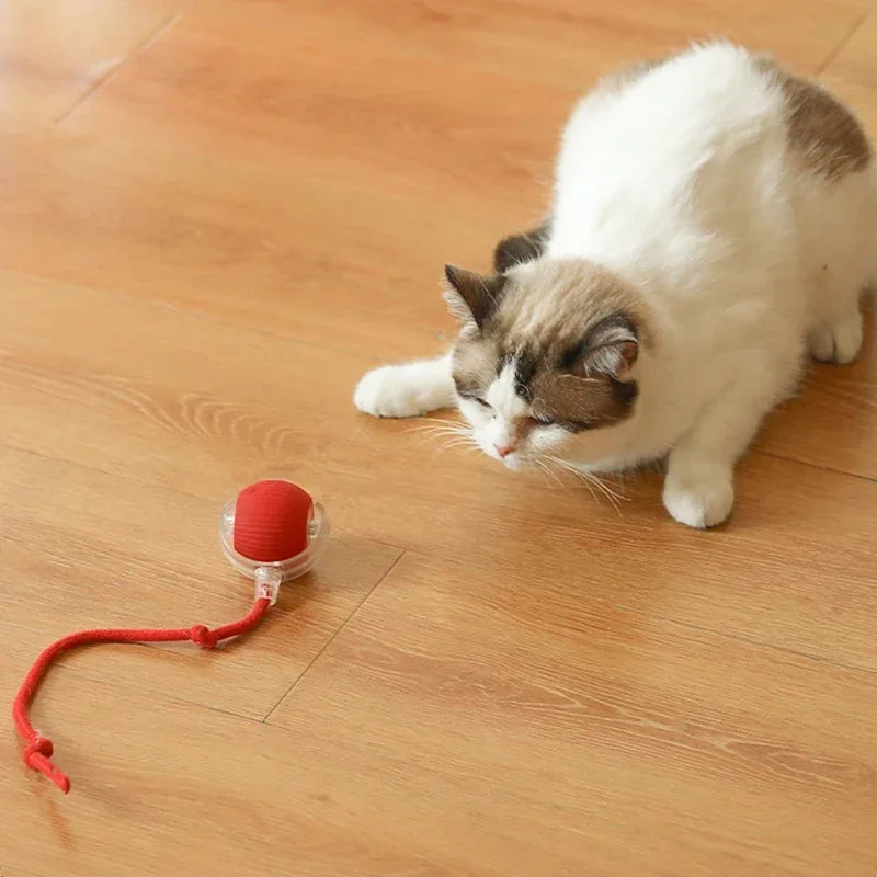 Interactive Cat Ball: Auto Electric Teaser, USB Rechargeable