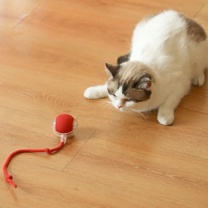 Interactive Cat Ball: Auto Electric Teaser, USB Rechargeable