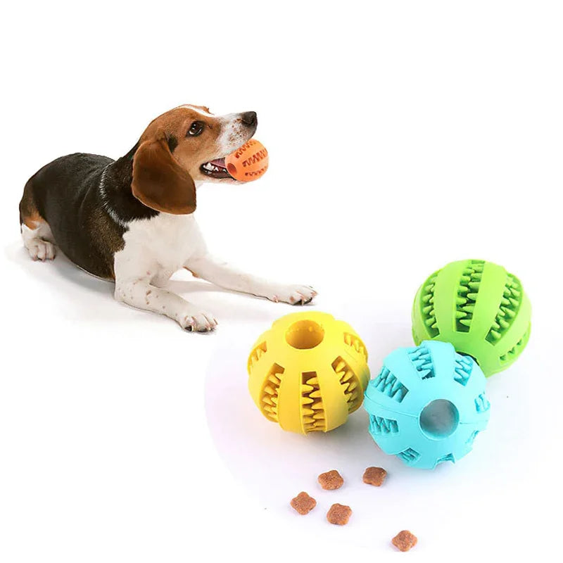 Dog Ball Toys - Interactive Chew & Clean Rubber for Small Dogs