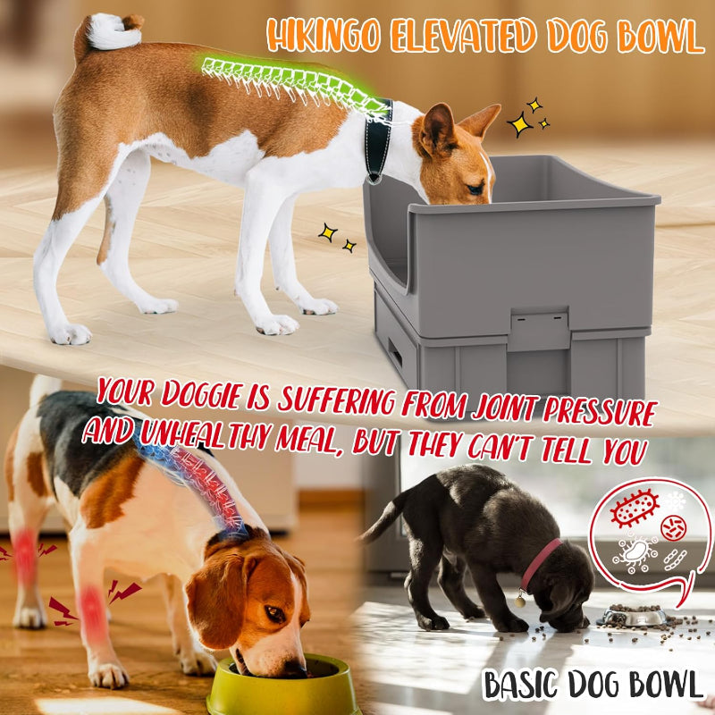 Elevated Dog Bowl Stand Set - Mess Proof & Quiet Feeding