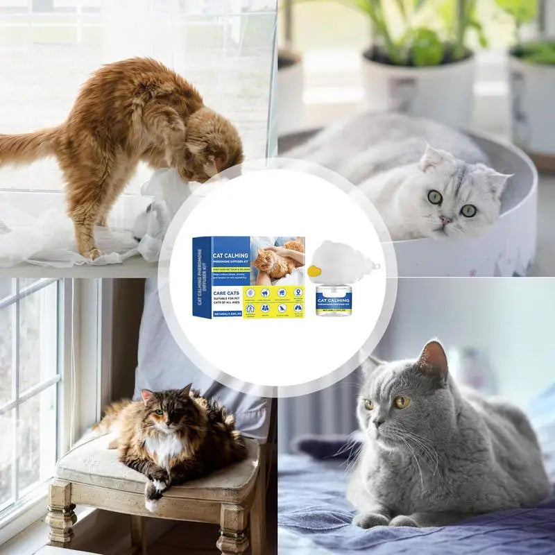 Cat Calming Diffuser 45ml - Reduce Stress & Scratching