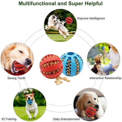 Dog Ball Toys - Interactive Chew & Clean Rubber for Small Dogs