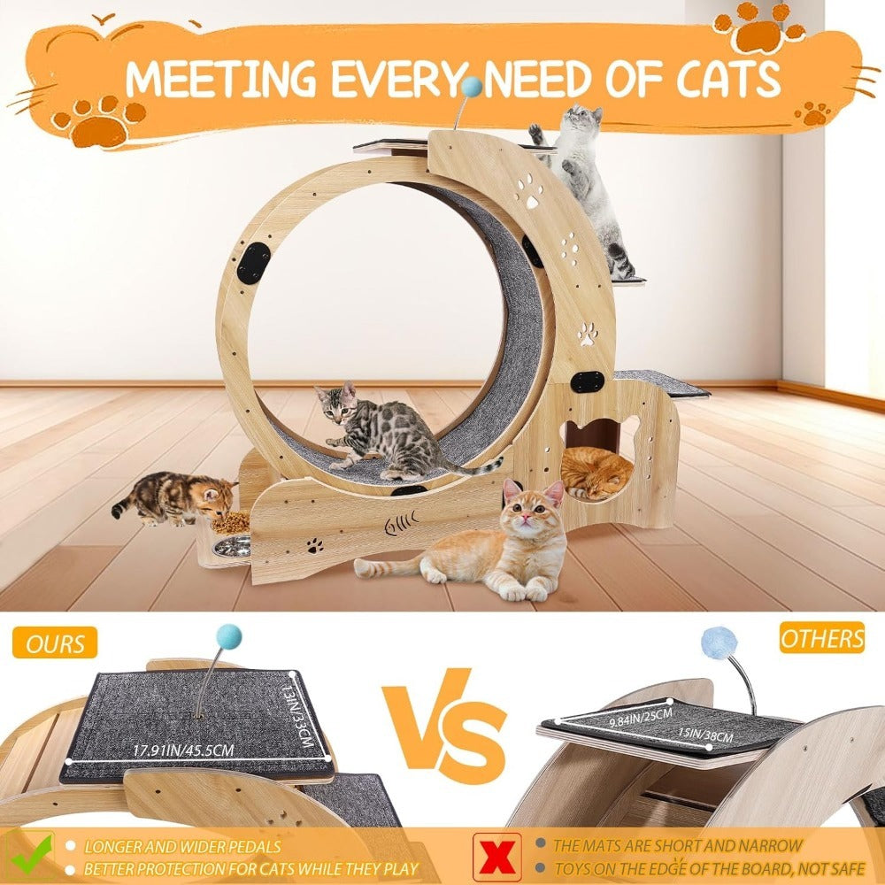 Cat Exercise Wheel - Birch & Poplar, Ultra-Quiet, Anti-Scratch