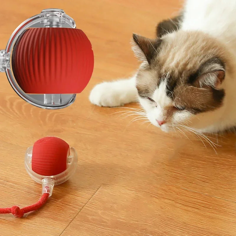 Interactive Cat Ball: Auto Electric Teaser, USB Rechargeable