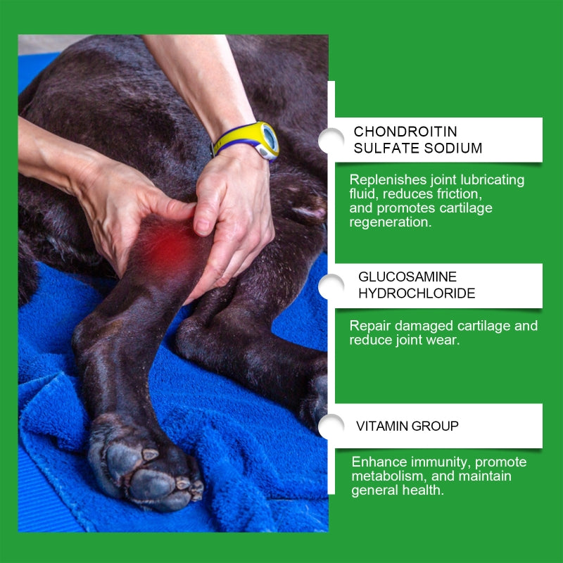 Glucosamine Dog Joint Tablets - 80 Count for Hip & Joint Health