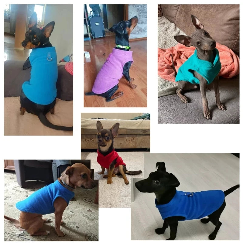 Warm Fleece Dog Jacket with D-Ring for Small Breeds