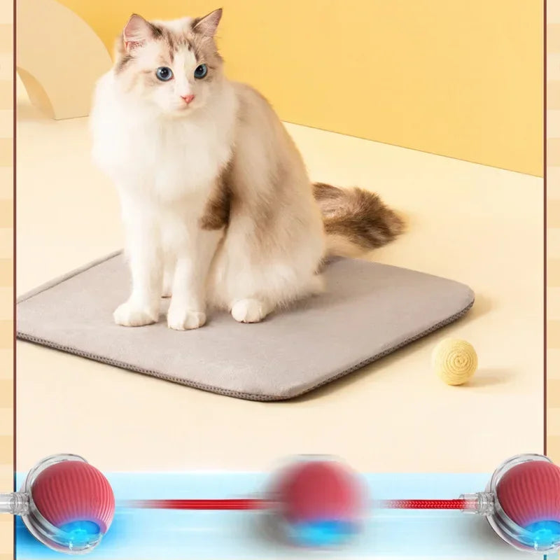 Interactive Cat Ball: Auto Electric Teaser, USB Rechargeable
