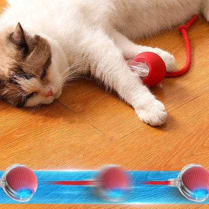 Interactive Cat Ball: Auto Electric Teaser, USB Rechargeable