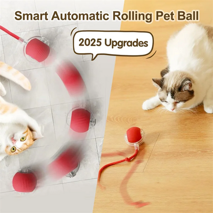 Smart Cat Toy Ball: Motion-Activated, Fast Rolling Fun
