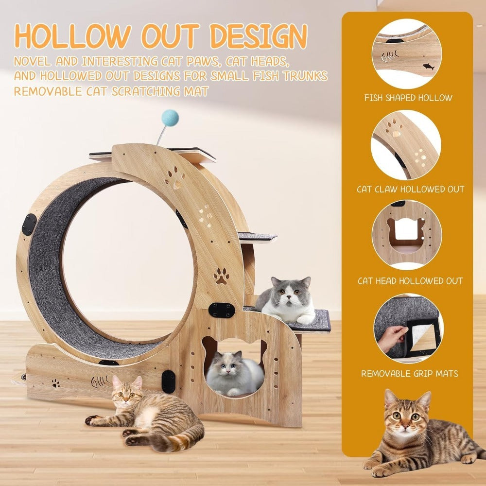 Cat Exercise Wheel - Birch & Poplar, Ultra-Quiet, Anti-Scratch