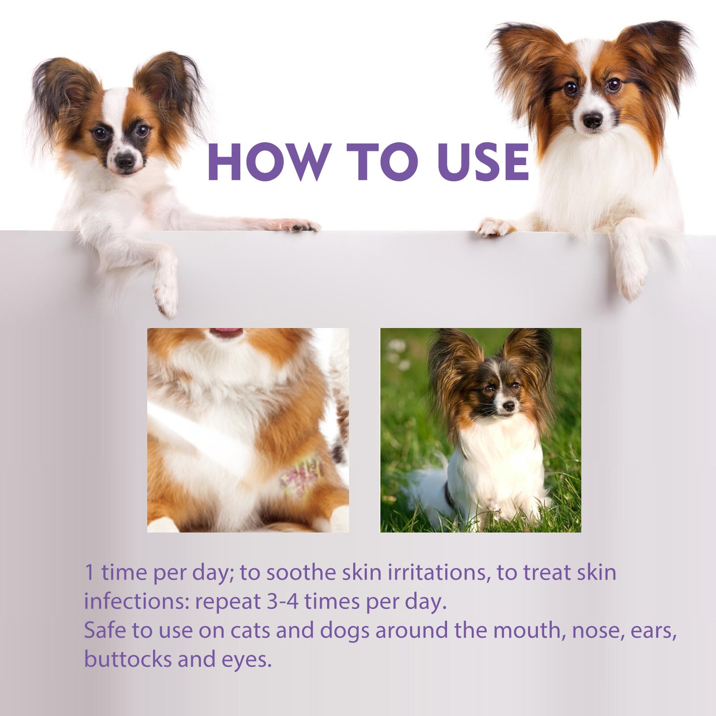 Pet Flea & Lice Spray - Fast Relief for Dogs & Cats, 60ml