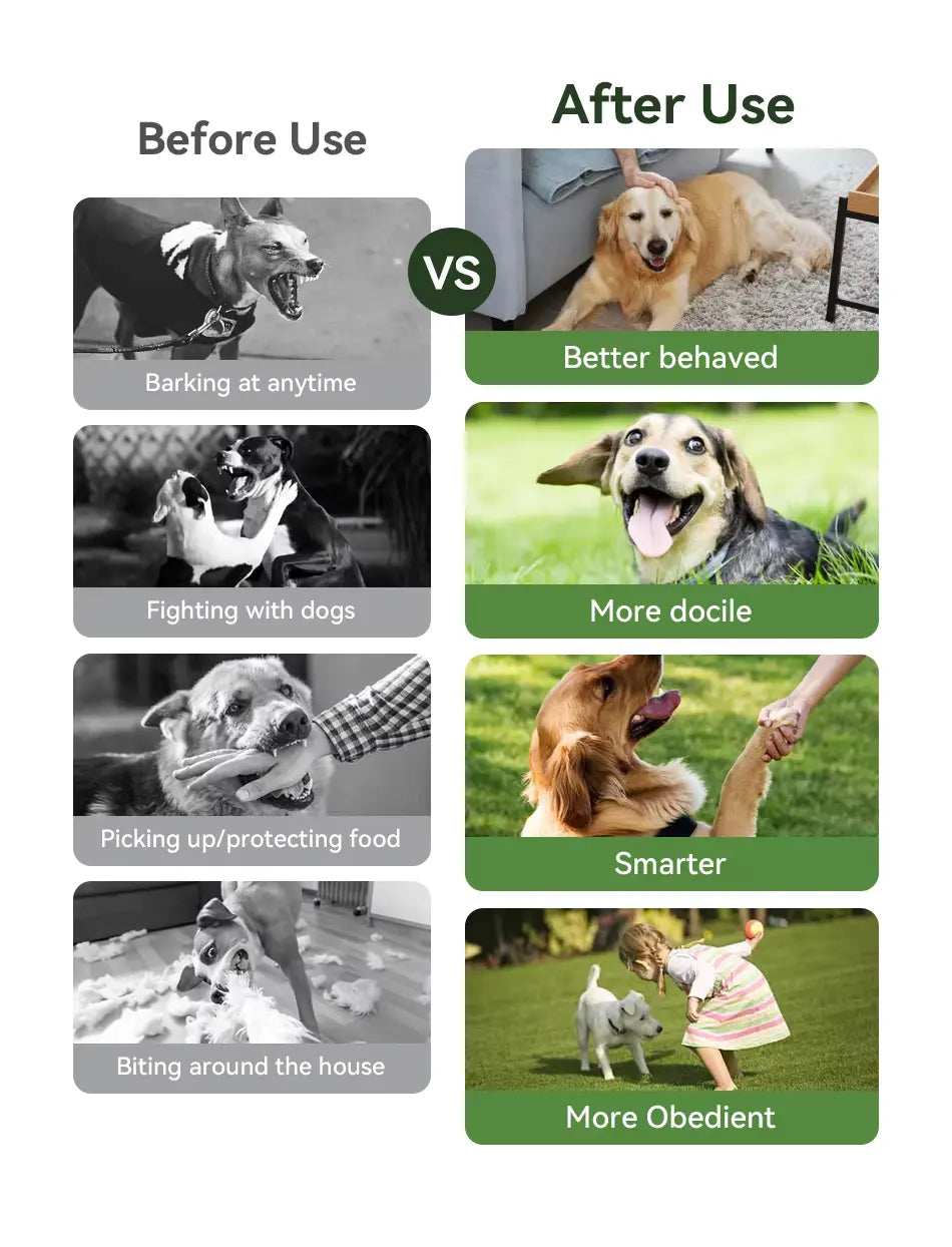 Dog Training Collar – 300M Range, Beep, Vibration, and Static Modes with Remote