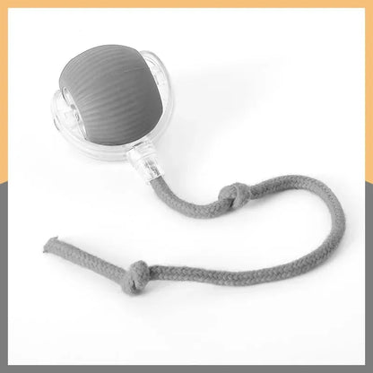 Interactive Cat Ball: Auto Electric Teaser, USB Rechargeable